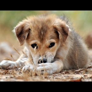 Meet your Posher, Krueger